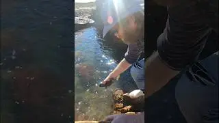 Catch and release at it's best! #catchandrelease #gouritz
