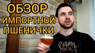 ОТЛИЧНОЕ ИМПОРТНОЕ ПШЕНИЧНОЕ ПИВО l THRON WEIZEN (ПИВО ТРОН ВАЙЦЕН)