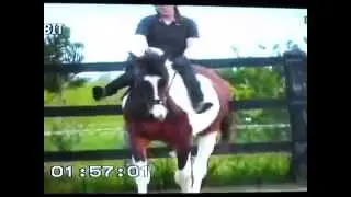 Susan Seipel Para Equestrian riding Menora Wildfire Bareback