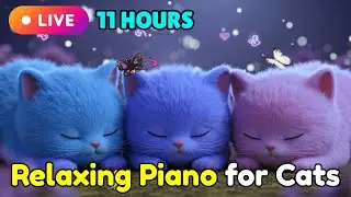 LIVE Piano Music for Cats Calm Behavior | Anxiety Relief and Sleep Music Stream