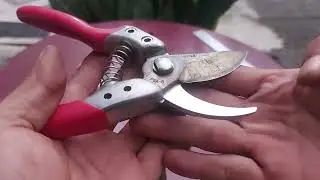 Cưa cành ARS 150k, ghép cành 150k & Kéo cắt cành 400k. Ae quan tâm liên hệ 0982244014 Mr_Phong