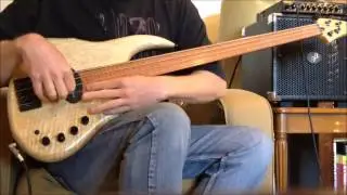 GrooveBee by Bee Basses fretless 4 string.
