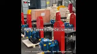 Tobee&reg; 12sets 1 5x1B AH Centrifugal Slurry Pumps for Metallurgy Industry