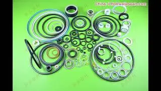 What industries can spring energized seals be used for？
