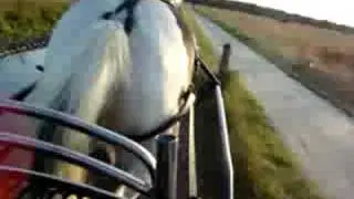 geiten op de kar