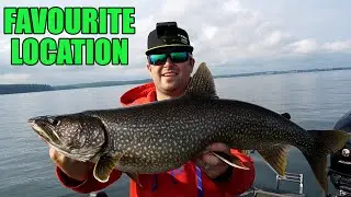 My FAVOURITE Way To Catch a TON of Mid Summer Lake Trout!