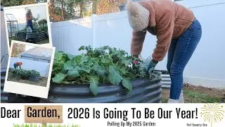 How I’m Getting Ready For My Spring Garden | Pulling Up My Fall Garden After the Frost