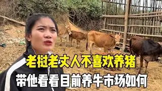 老挝老丈人不是很喜欢养猪，决定带他看看小牛犊，很害怕被骗了！【老挝媳妇MEE】