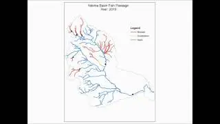 Fish Passage Animation