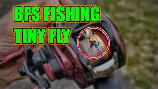 Ultralight BFS Fishing TINY Nymph Jig Flies for Spring Bluegills - Daiwa Salamandura Air TW