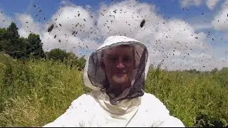 GoPro: BUZZ - In the Swarm