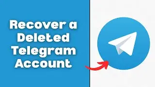Can We Recover a Deleted Telegram Account?