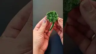 DIY Lucky Clover Keychain  | Easy Pipe Cleaner Craft