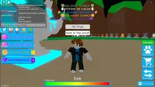 (Showcasing) i hatched a shiny mythic secret pet with x10 luck 1st try in BGS Modded
