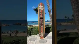 Longboards Beach Bar in Hawaii