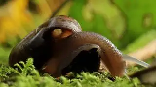 Natura 2000 et au milieu coule une rivière (parties 1 et 2)