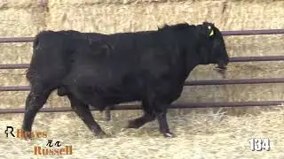 Reyes Russel Lot 134