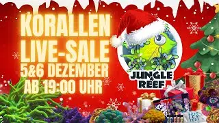 🎁 Christmas Coral Madness &ndash; Live Sale mit exklusiven &Uuml;berraschungen!