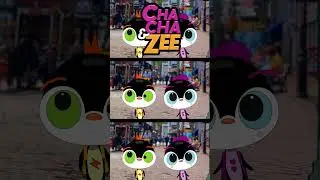 Cute Little Penguins Exploring Boston || Cute Penguins Explore Boston Best || Penguin Style