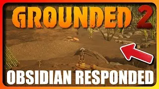 Obsidian ответили мне по поводу большой проблемы с &laquo;ТРАВА&raquo; в Grounded 2