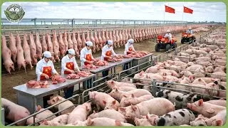 How China Used Modern Agriculture Technology to Produce 714 Million Tons of Food