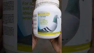 #Pigeon powder #energy #medicine from #Belgium 🇧🇪