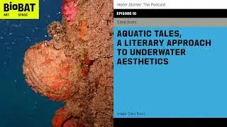 Ep 10 Aquatic tales, a literary approach to underwater aesthetics-Clare Brant | WATER STORIES