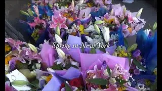 Diary 07: Graduation Pics 📸🎓🌷🏙️ #collegegrad #paceuniversity
