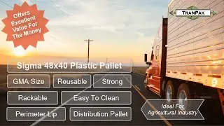 Sigma 48x40 Plastic Pallet | Reusable Distribution Pallet | TranPak