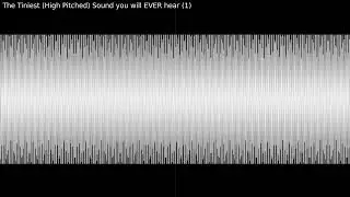 The Tiniest High Pitched Sound you will EVER hear