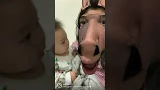 smart baby reaction for horse filter 릴스 틱톡 reels horse filter