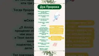Вера#коран#дуа#сунны#аяты#суры#Deen#shorts #шортс#ислам#Аллах#sabr#сабр#субханаллах