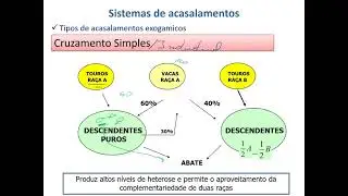 Sistemas de acasalamentos - Exogamia