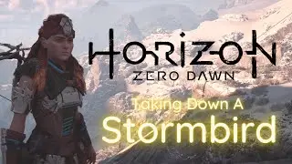 Horizon Zero Dawn - Taking down a Stormbird