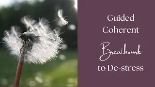 Unlock Inner Peace: Discover the Power of Coherent Breathing