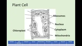 N5 Biology - 1.1 Cell Structure