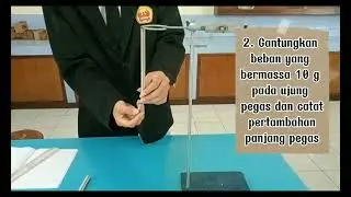EKSPERIMEN HUKUM HOOK