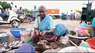 The diverse tasks taken on by women at the Cuddalore fishing harbour