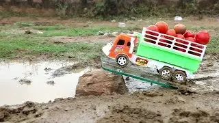 trucks, truck, trucks, mega trucks, big trucks, mud truck jumps, cars stuck in mud,Truck, Tractor