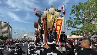 【Vlog】宮本町 2/2 令和4年度岸和田だんじり祭 第2回試験曳き【地元】【1人旅】
