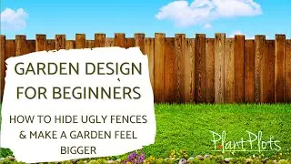 Small Gardens Need Big Borders: Here's Why!