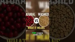 Natural vs. Washed Coffee: Taste the Difference!