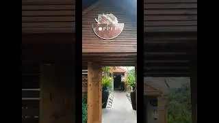 The Coppers Jamaican Restaurant on Haining Rd Kgn! #traveljamaica #jamaicafood #restaurantjamaica