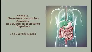 Sistema digestivo tratado con Biorretroalimentaci&oacute;n Cuantica. Bioresonancia