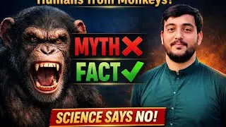 Most people believe humans came from monkeys &mdash; but science tells a very different story!&rdquo;