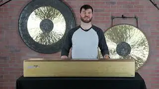 Playing the LARGEST Log Drum You Can Find