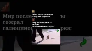 ШОК КОТЁНОК СЪЕЛ ЧЕРВЯ И РАДУЕТСЯ| bed time mem #bedtime #майнкрафт