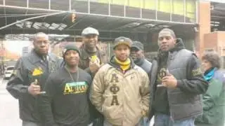 Wall Street Alphas 2010 - 2011