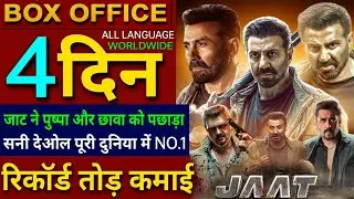 Jaat Box Office Collection, Sunny Deol, Randeep Hooda, Jaat Movie 3rd Day collection Worldwide,