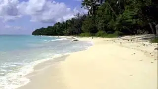 ¤ NUKULAELAE ¤.wmv